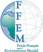 FFEM