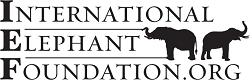 International Elephant Foundation